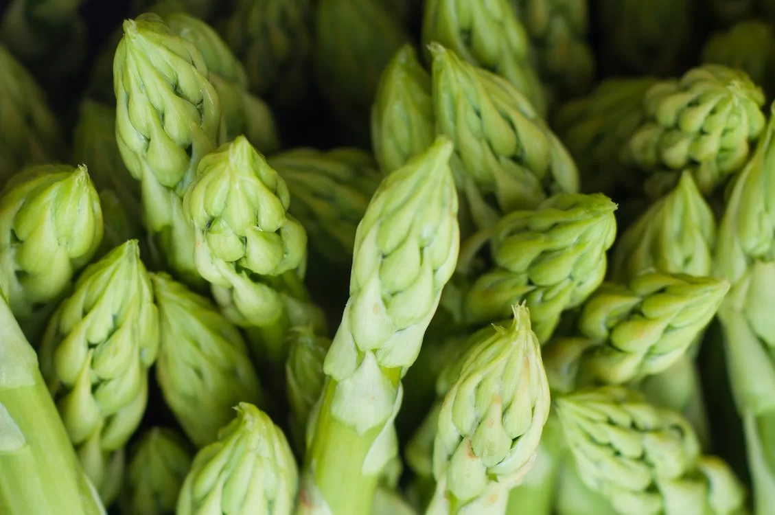Four detox foods that will help you lose weight